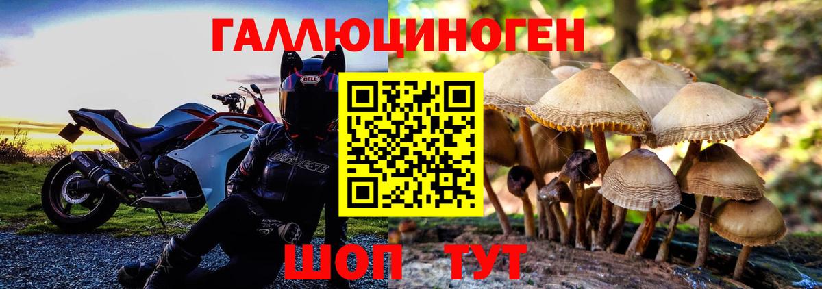 где купить наркотик  Галлюциногенные грибы Psilocybine cubensis  Вход с VPN  Усть-Лабинск 